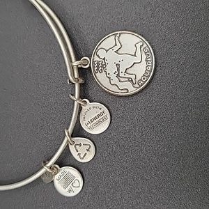 Alex and Ani - Aquarius Zodiac silver charm bracelet